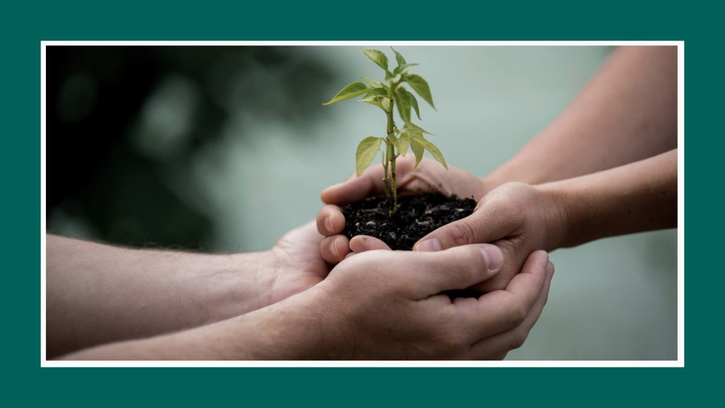 Jak przygotować się do pierwszej wizyty u psychologa_poradnik dla klientów_TherapyHubOnline_03