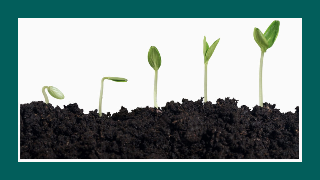 Najważniejsze informacje o nurtach terapeutycznych_poradnik dla klientów_TherapyHubOnline_04